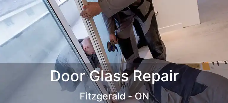  Door Glass Repair Fitzgerald - ON