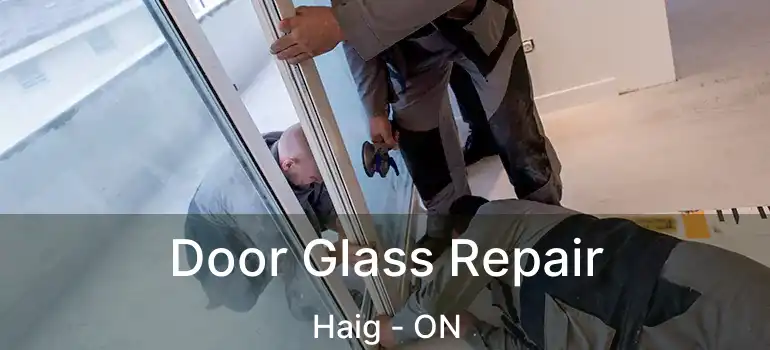  Door Glass Repair Haig - ON