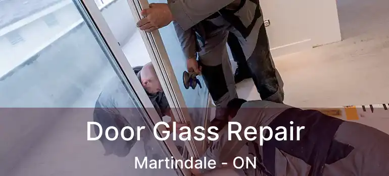 Door Glass Repair Martindale - ON