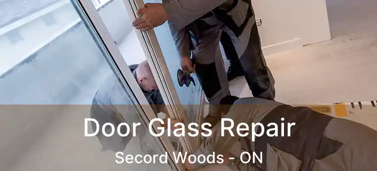  Door Glass Repair Secord Woods - ON