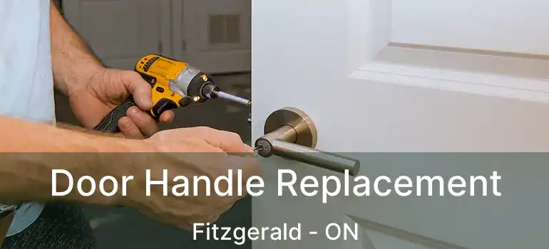 Door Handle Replacement Fitzgerald - ON