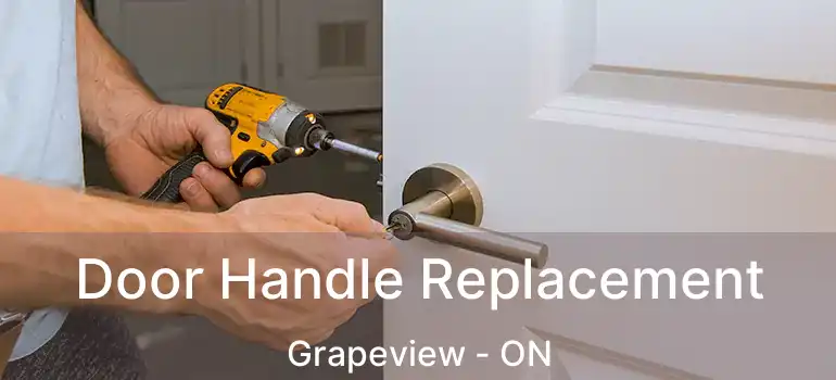  Door Handle Replacement Grapeview - ON