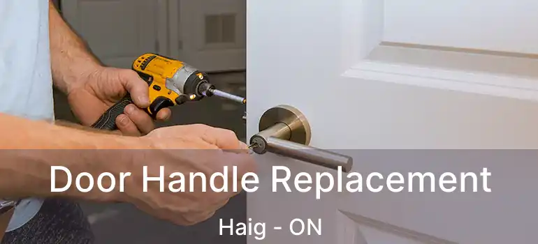  Door Handle Replacement Haig - ON