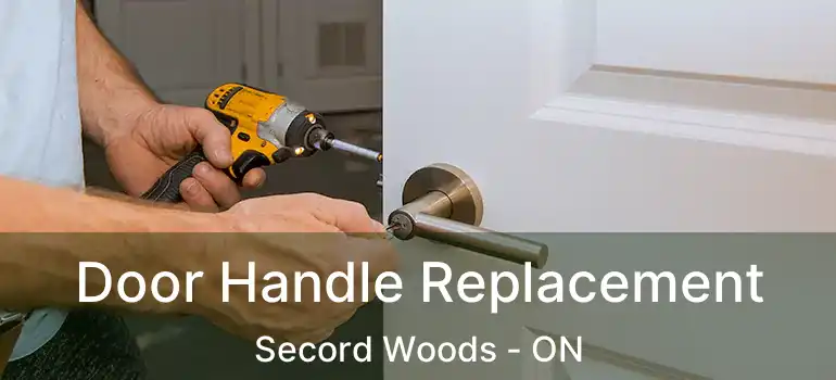  Door Handle Replacement Secord Woods - ON