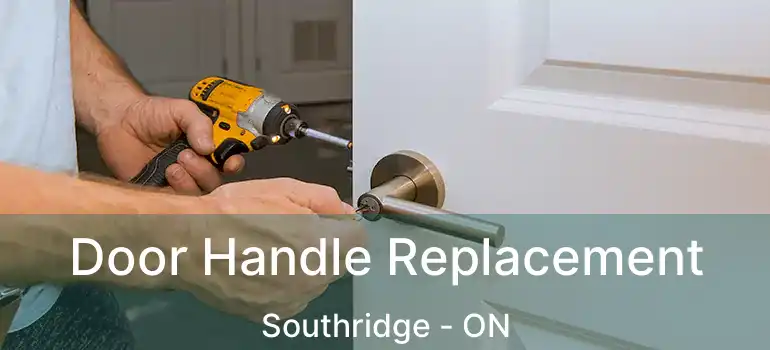  Door Handle Replacement Southridge - ON