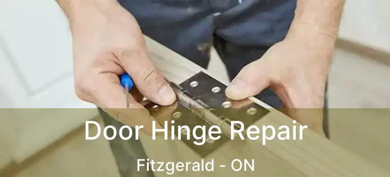  Door Hinge Repair Fitzgerald - ON