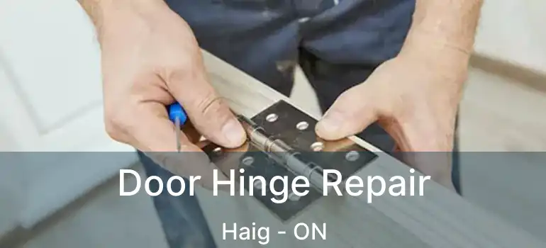  Door Hinge Repair Haig - ON