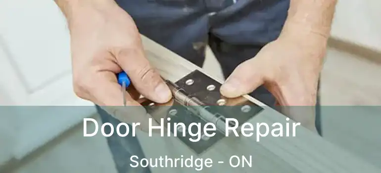  Door Hinge Repair Southridge - ON