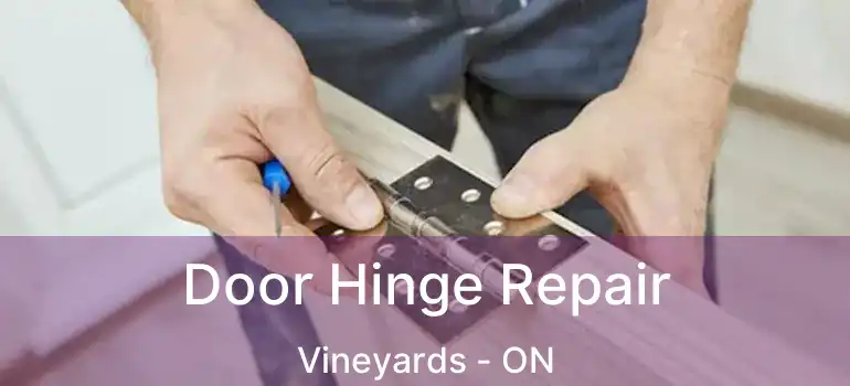  Door Hinge Repair Vineyards - ON