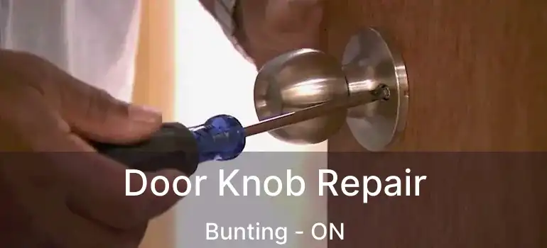  Door Knob Repair Bunting - ON