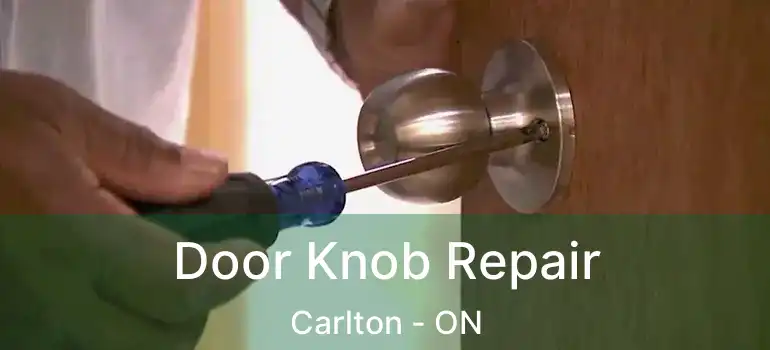  Door Knob Repair Carlton - ON
