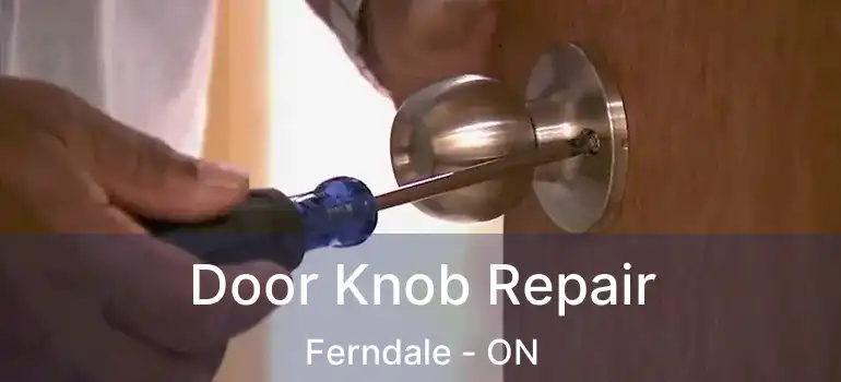  Door Knob Repair Ferndale - ON