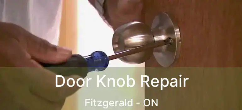  Door Knob Repair Fitzgerald - ON