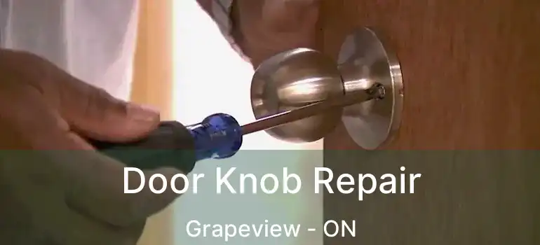  Door Knob Repair Grapeview - ON