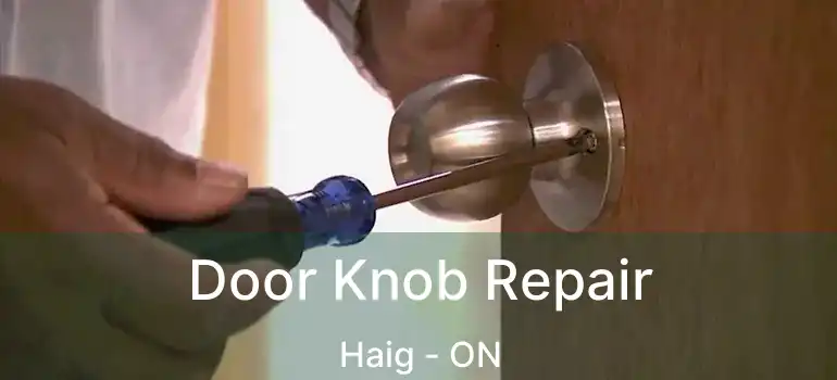 Door Knob Repair Haig - ON
