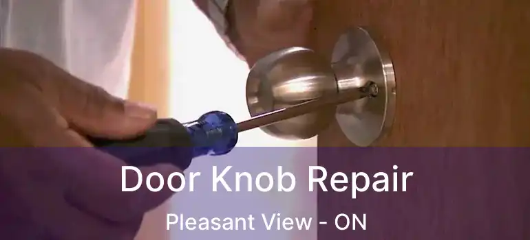  Door Knob Repair Pleasant View - ON