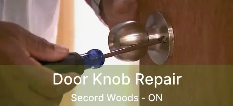 Door Knob Repair Secord Woods - ON