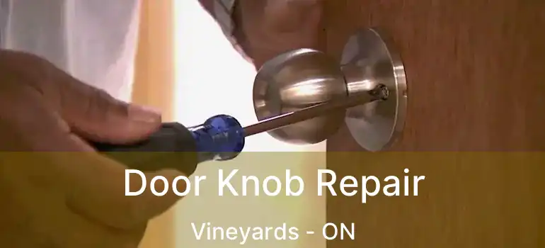  Door Knob Repair Vineyards - ON