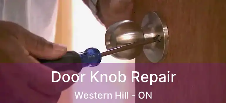  Door Knob Repair Western Hill - ON