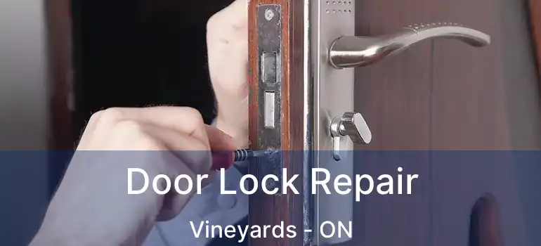 Door Lock Repair Vineyards - ON