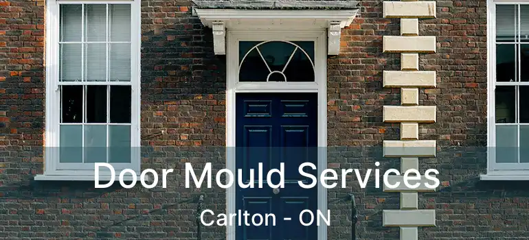  Door Mould Services Carlton - ON