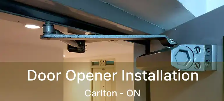 Door Opener Installation Carlton - ON