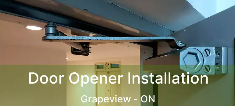 Door Opener Installation Grapeview - ON