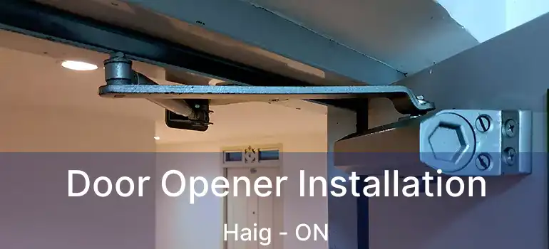  Door Opener Installation Haig - ON
