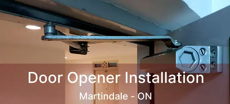  Door Opener Installation Martindale - ON