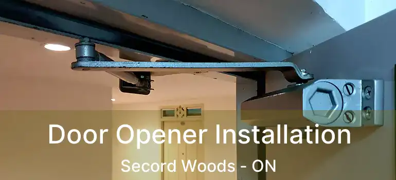 Door Opener Installation Secord Woods - ON
