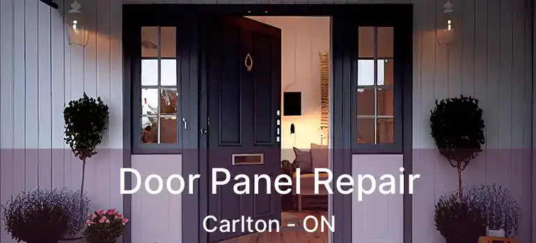 Door Panel Repair Carlton - ON