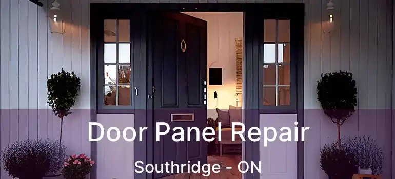Door Panel Repair Southridge - ON
