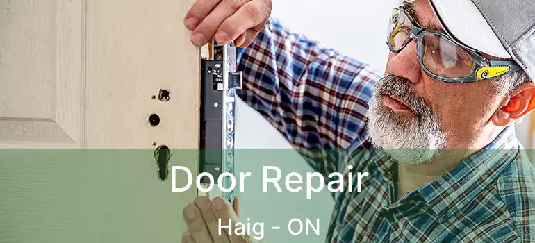  Door Repair Haig - ON