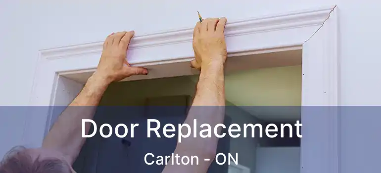  Door Replacement Carlton - ON