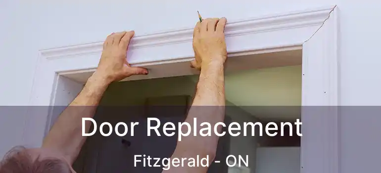  Door Replacement Fitzgerald - ON