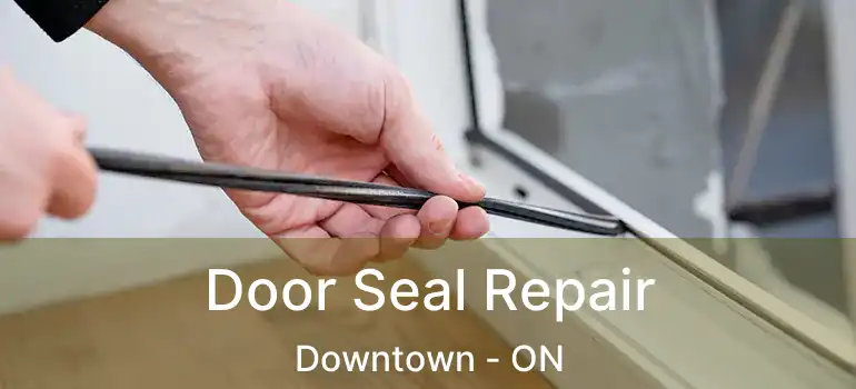  Door Seal Repair Downtown - ON