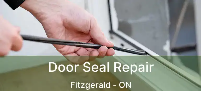  Door Seal Repair Fitzgerald - ON
