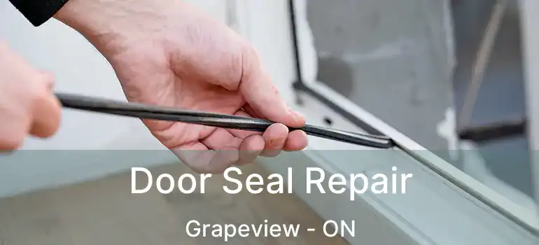 Door Seal Repair Grapeview - ON