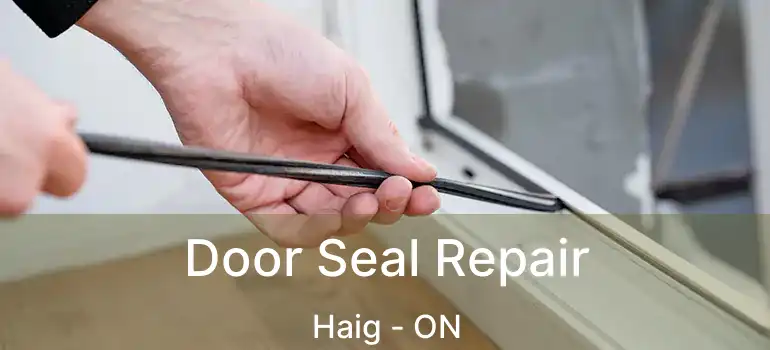 Door Seal Repair Haig - ON