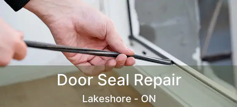  Door Seal Repair Lakeshore - ON