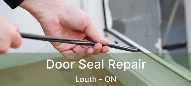  Door Seal Repair Louth - ON