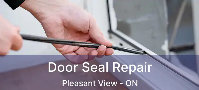  Door Seal Repair Pleasant View - ON