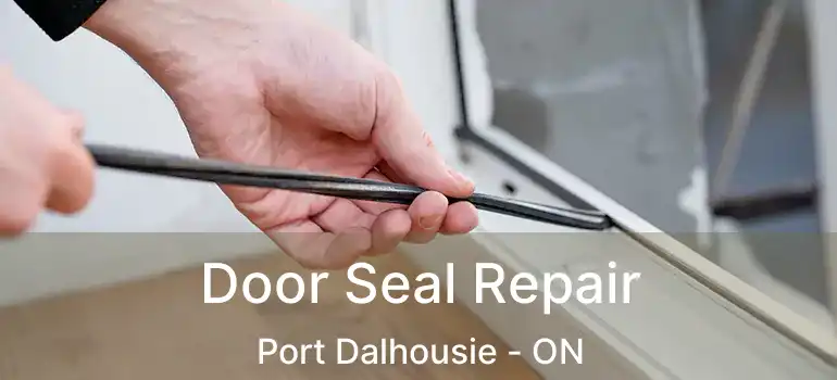  Door Seal Repair Port Dalhousie - ON