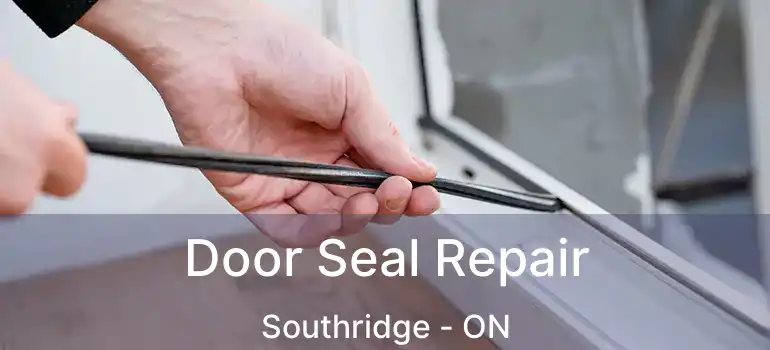  Door Seal Repair Southridge - ON