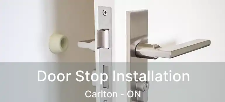 Door Stop Installation Carlton - ON