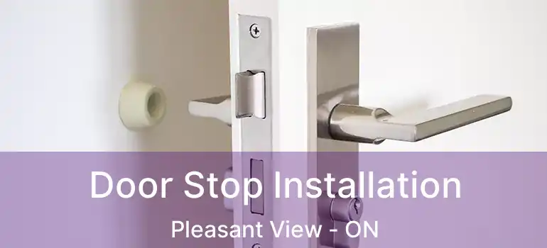  Door Stop Installation Pleasant View - ON