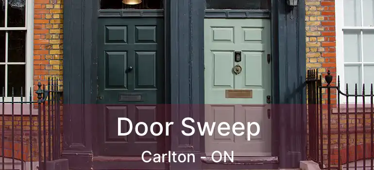  Door Sweep Carlton - ON
