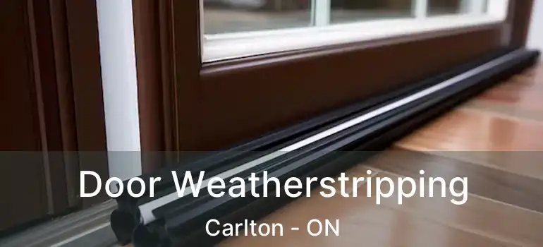 Door Weatherstripping Carlton - ON