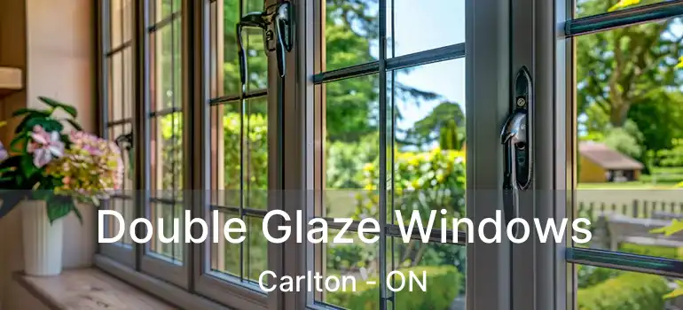  Double Glaze Windows Carlton - ON
