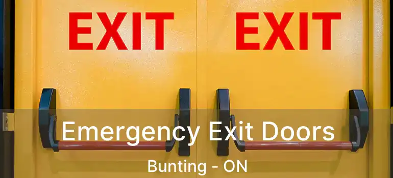 Emergency Exit Doors Bunting - ON